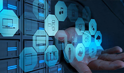 Software / Licenciamento da Best Byte Tecnologia